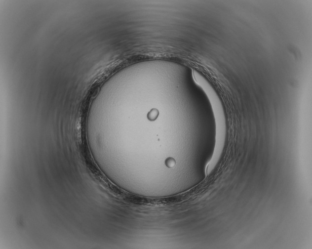 X0000114580696200911091236