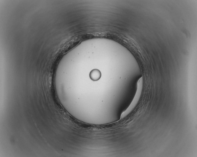 X0000114580697200911091236