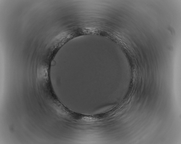 X0000114580699200911091236