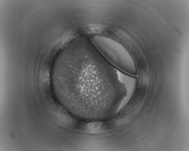 X0000114580700200911091236