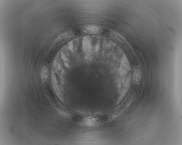 X0000114580701200911091236