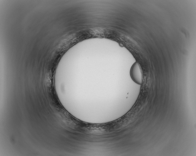 X0000114580702200911091236