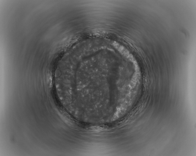 X0000114580703200911091236