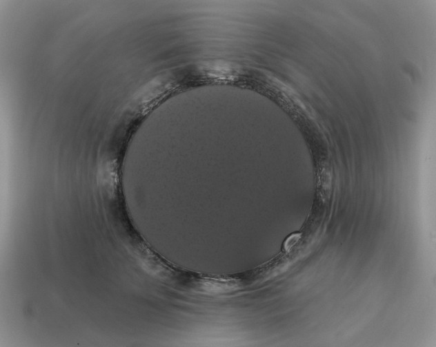 X0000114580707200911091236