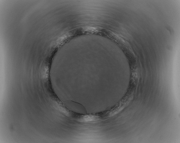 X0000114580708200911091236