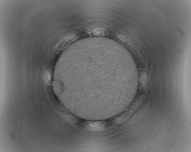 X0000114580709200911091236