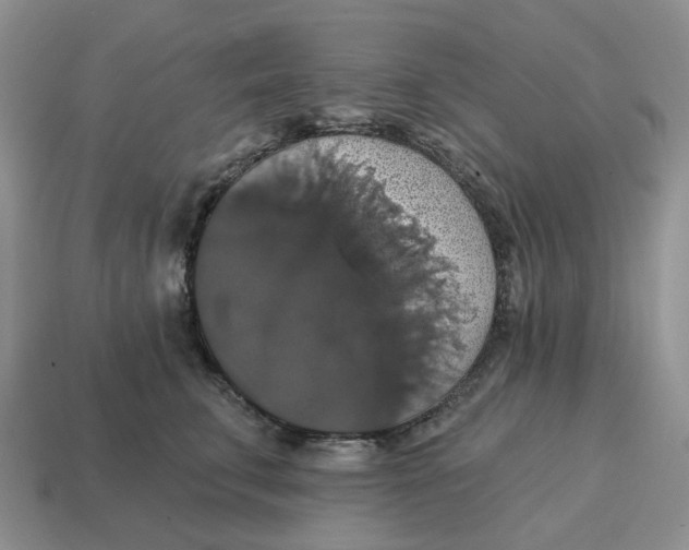 X0000114580711200911091236