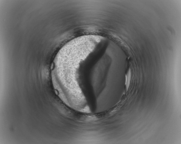 X0000114580715200911091236