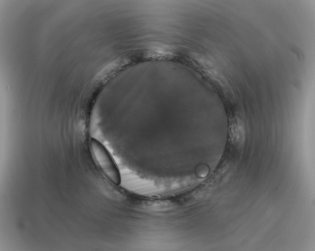 X0000114580716200911091236