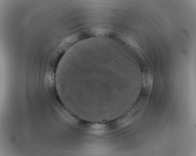 X0000114580718200911091236