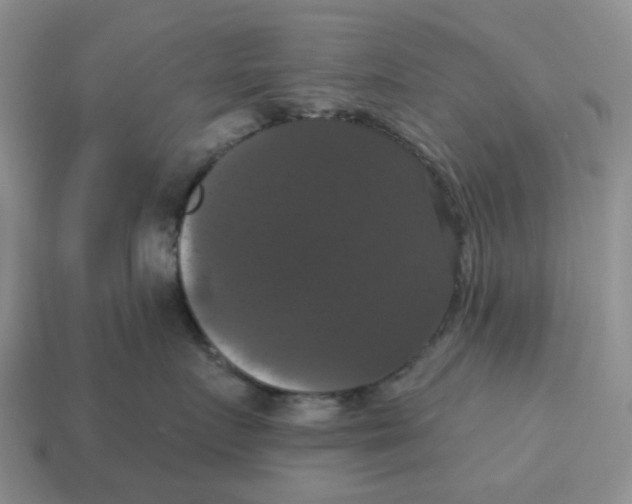 X0000114580719200911091235