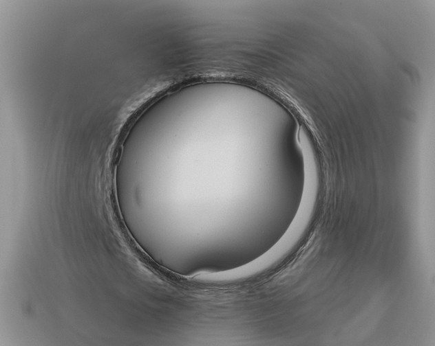 X0000114580721200911091235