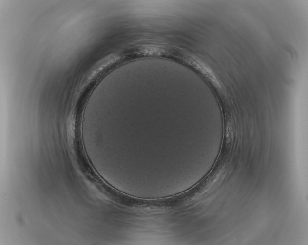 X0000114580722200911091235