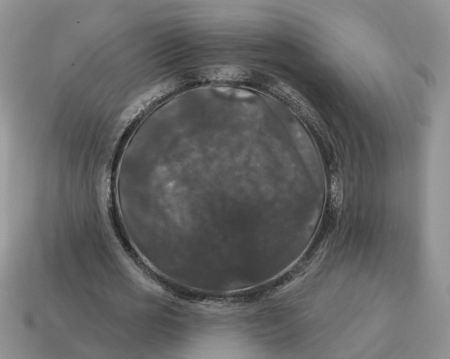 X0000114580725200911091235