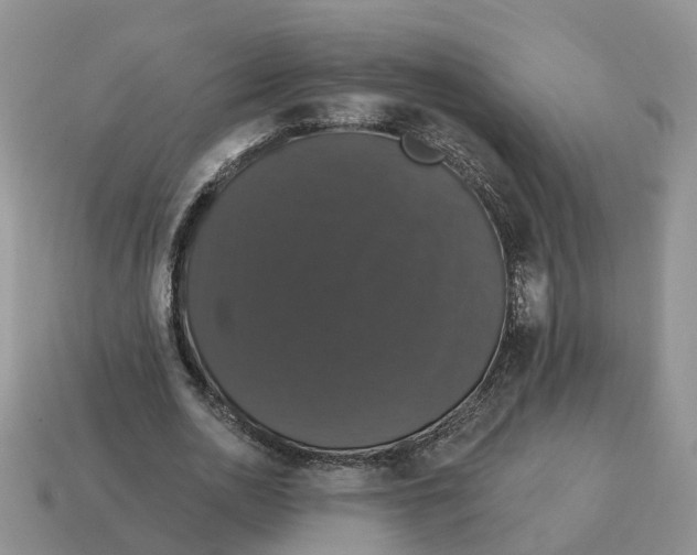 X0000114580726200911091235