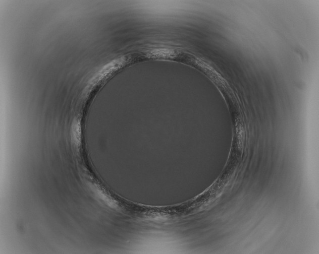 X0000114580729200911091235