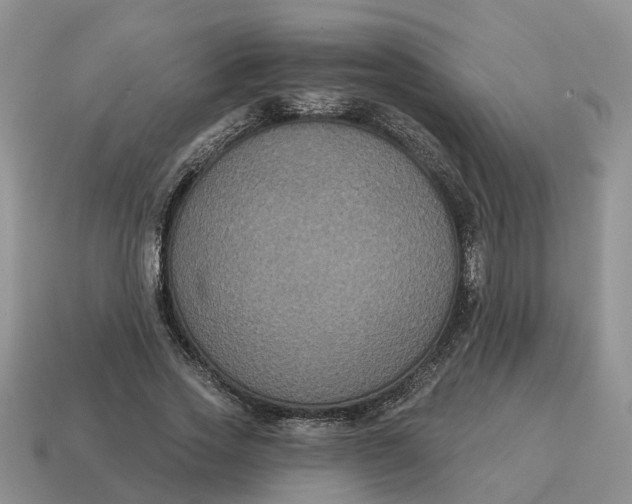 X0000114580733200911091235