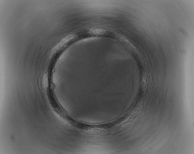 X0000114580734200911091235