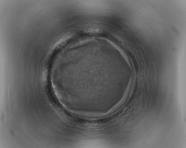 X0000114580735200911091235