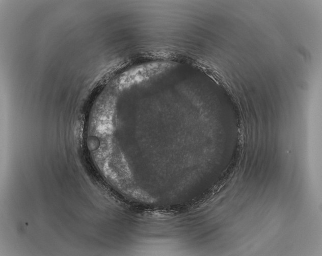 X0000114580739200911091235