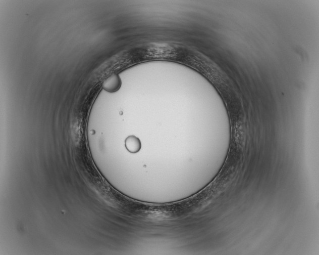 X0000114580741200911091235