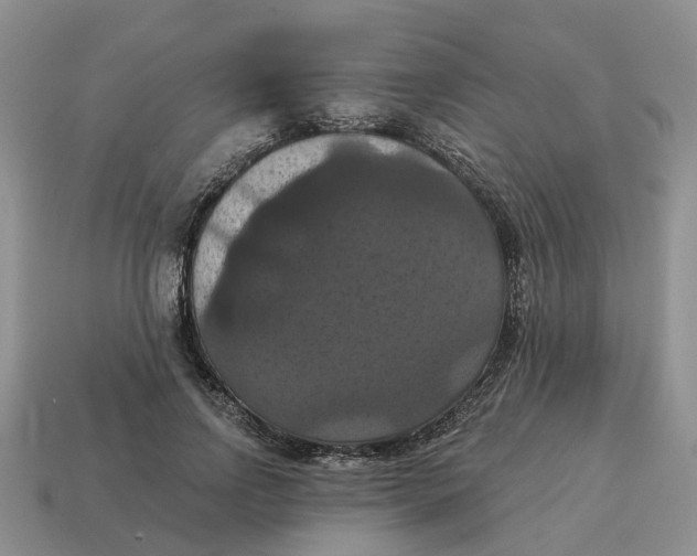 X0000114580742200911091235