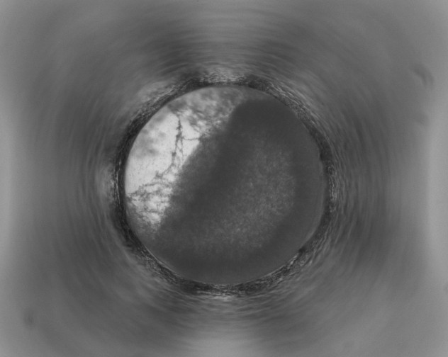 X0000114580743200911091235