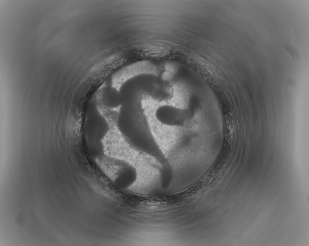 X0000114580745200911091235