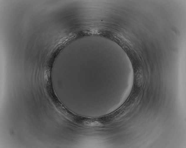 X0000114580747200911091235