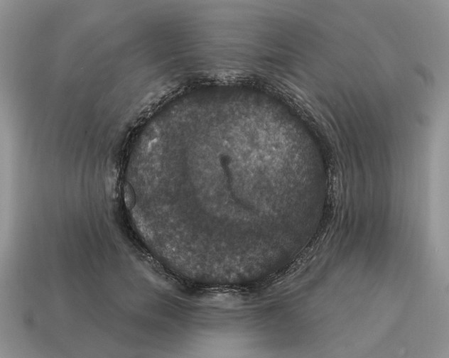 X0000114580750200911091235