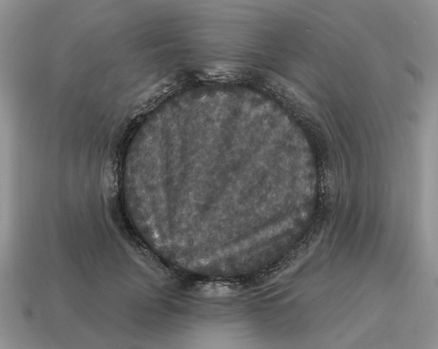 X0000114580751200911091235