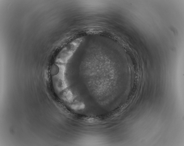 X0000114580755200911091235