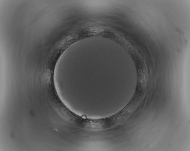 X0000114580758200911091235