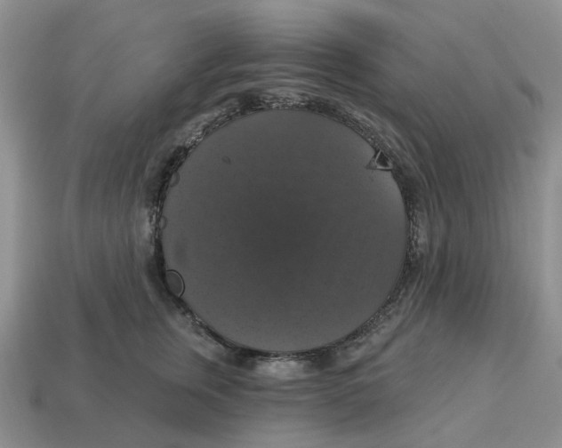 X0000114580759200911091235