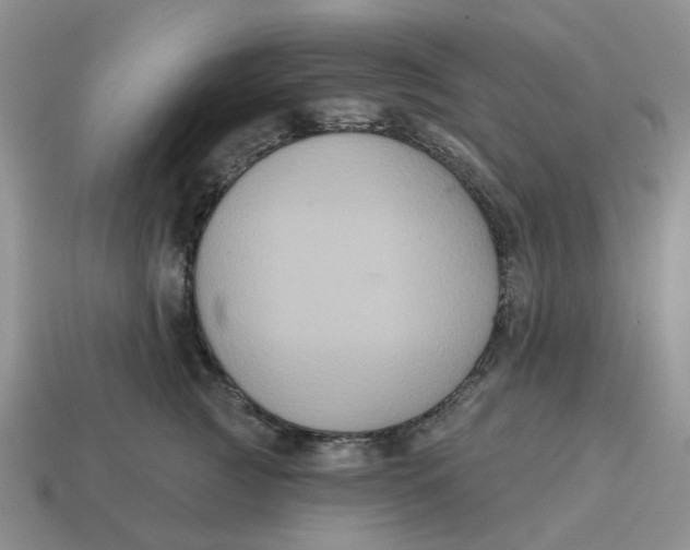 X0000114580761200911091235