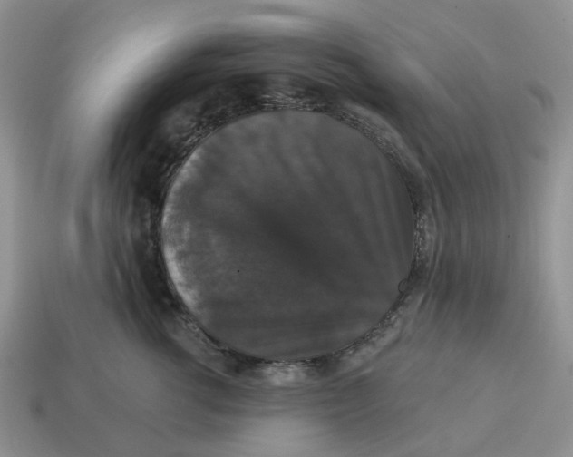 X0000114580762200911091235