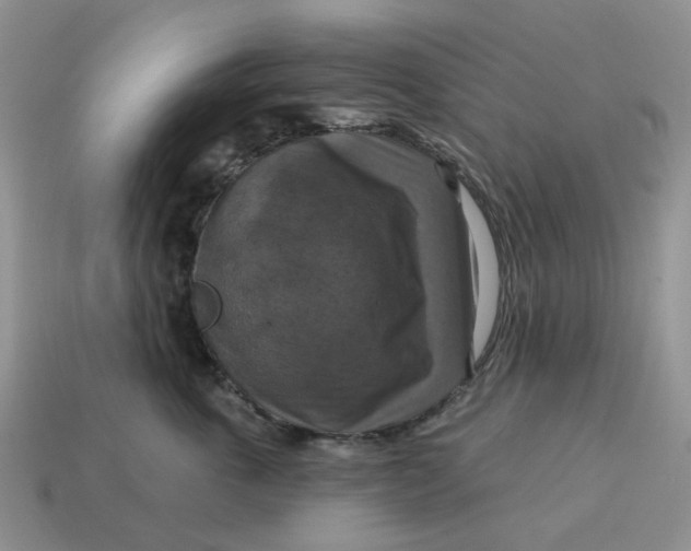 X0000114580763200911091235