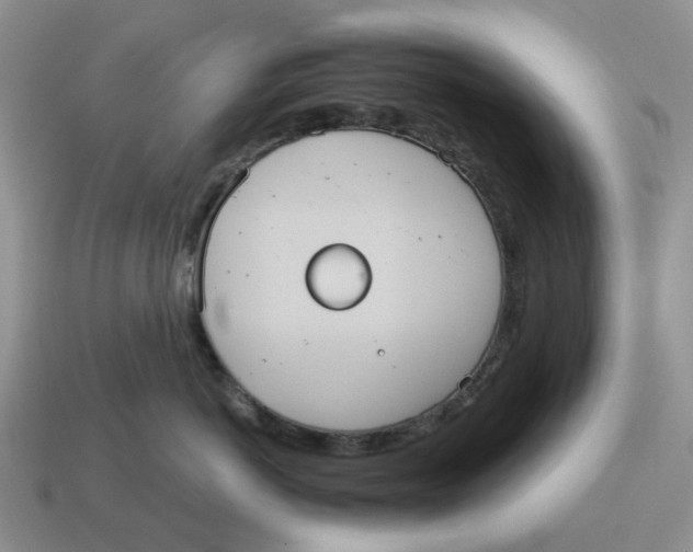 X0000114580766200911091235