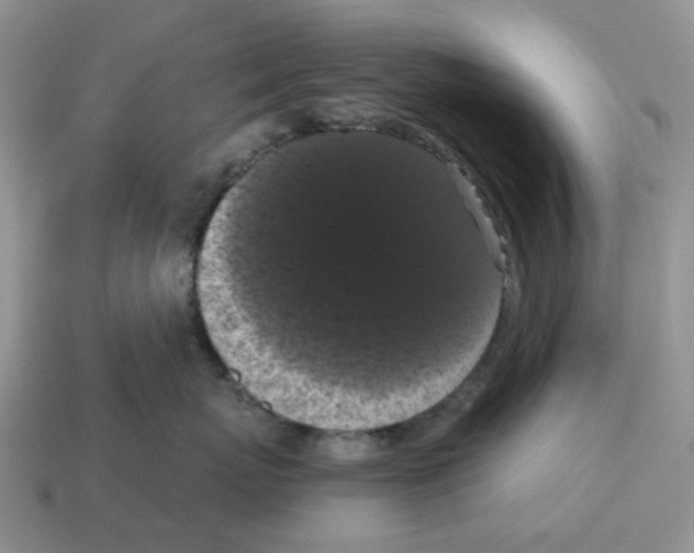 X0000114580767200911091235