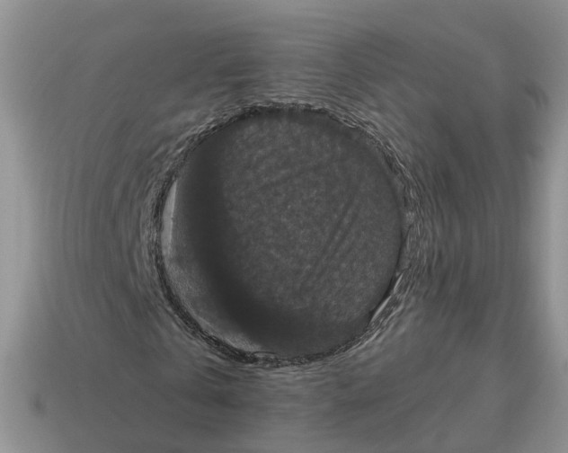 X0000114580769200911091235