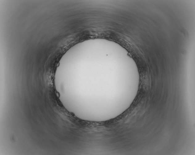 X0000114580770200911091235