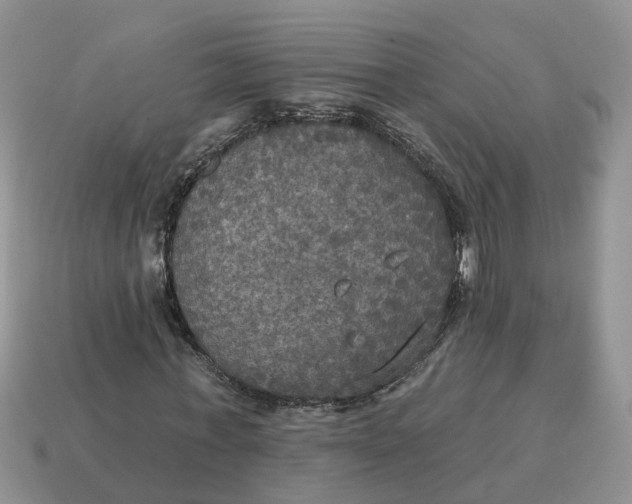 X0000114580771200911091235