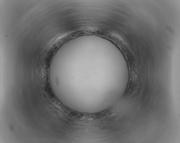 X0000114580773200911091235