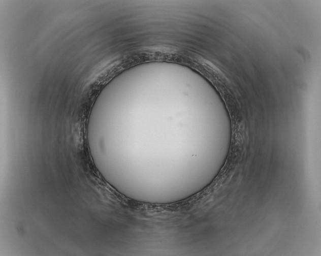 X0000114580774200911091235