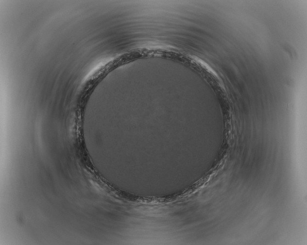 X0000114580775200911091235