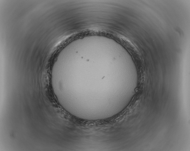 X0000114580776200911091235