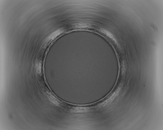 X0000114580777200911091235