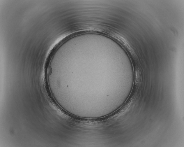 X0000114580780200911091235