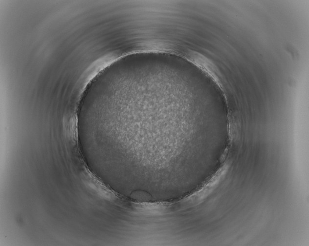 X0000114580781200911091235