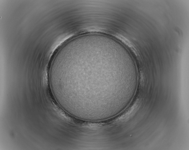 X0000114580782200911091235